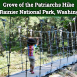 Grove of the Patriarchs Hike!