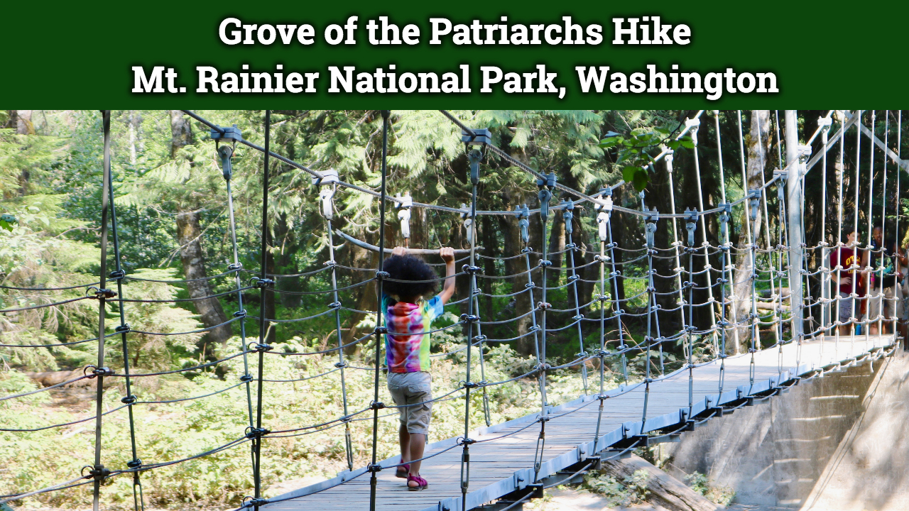 Grove of the Patriarchs Hike!