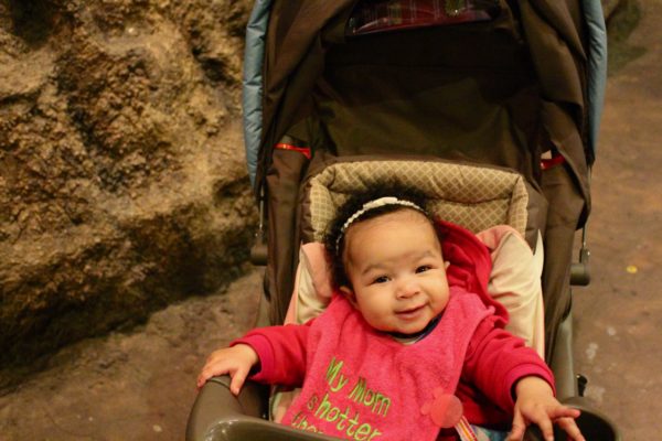 IMG_0859 IMG_0859
