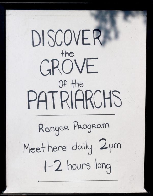 Grove-of-the-Patriarchs Grove-of-the-Patriarchs