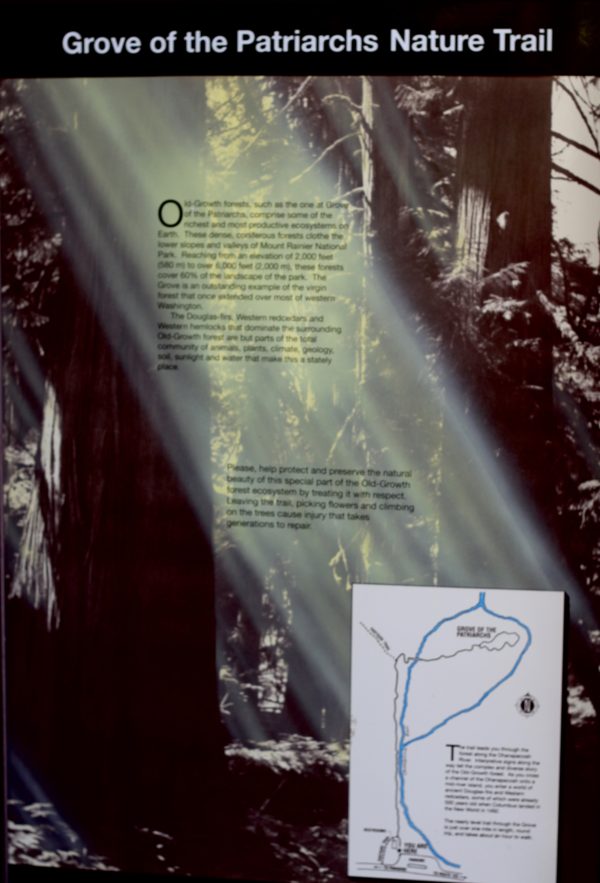 Grove-of-the-Patriarchs Grove-of-the-Patriarchs