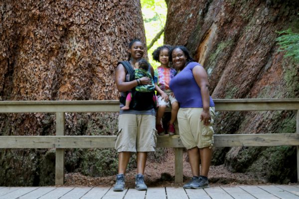 Grove-of-the-Patriarchs Grove-of-the-Patriarchs