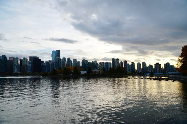 DSC00501