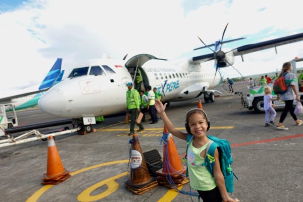 Garuda Indonesia Plane Garuda Indonesia Plane