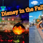 Why You Should Spend Your Fall Break at Walt Disney World!