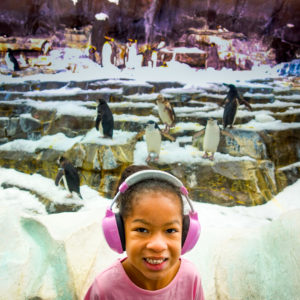 SeaWorld Orlando SeaWorld Orlando