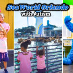 Visiting SeaWorld Orlando with Autism
