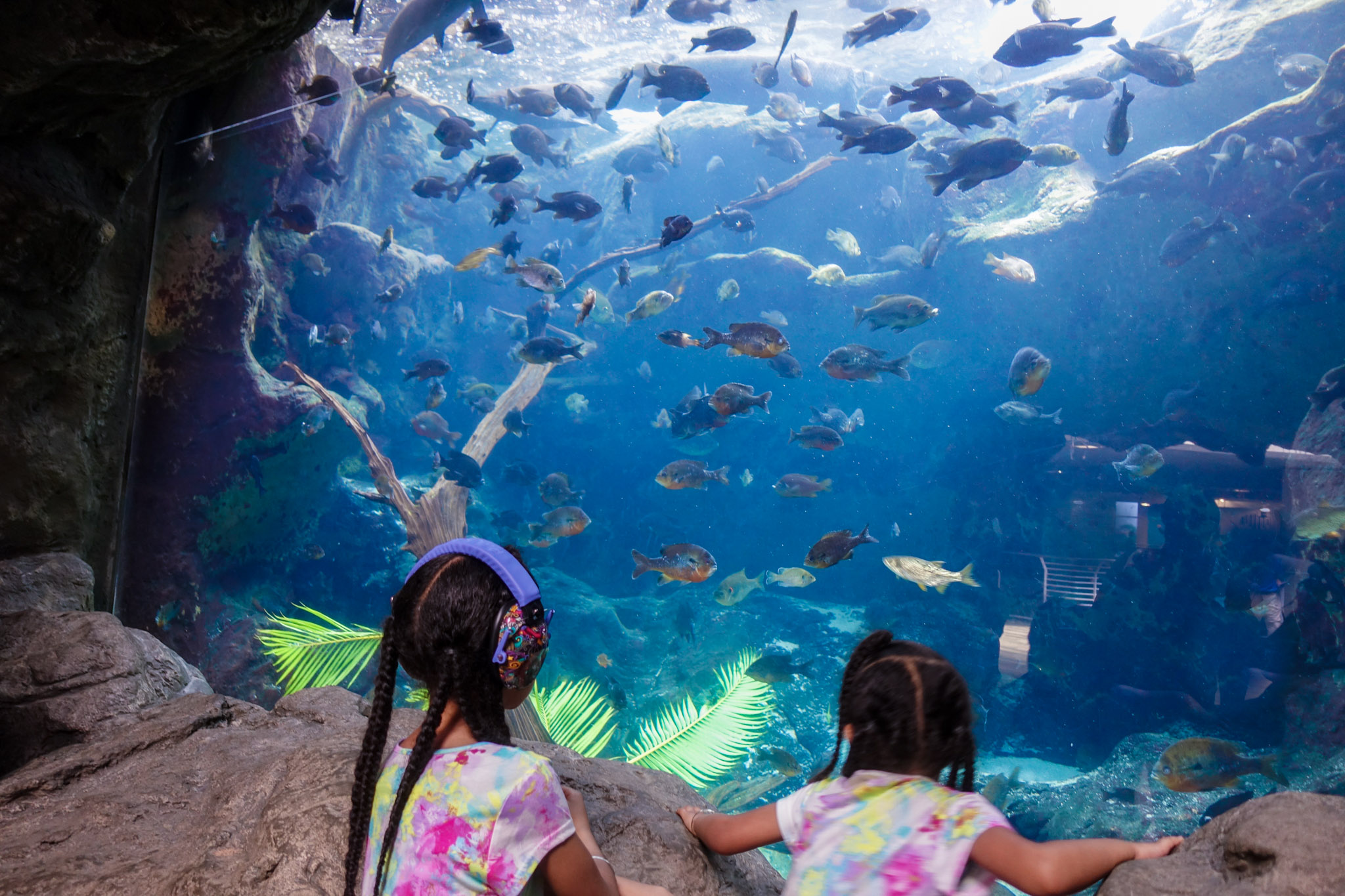 The-Florida-Aquarium-Florida-Wetlands
